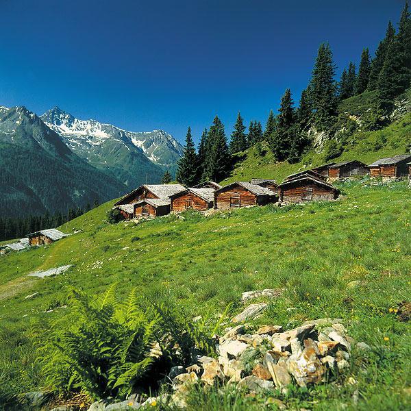 Alp Chalet Appartement Kappl  Exteriör bild
